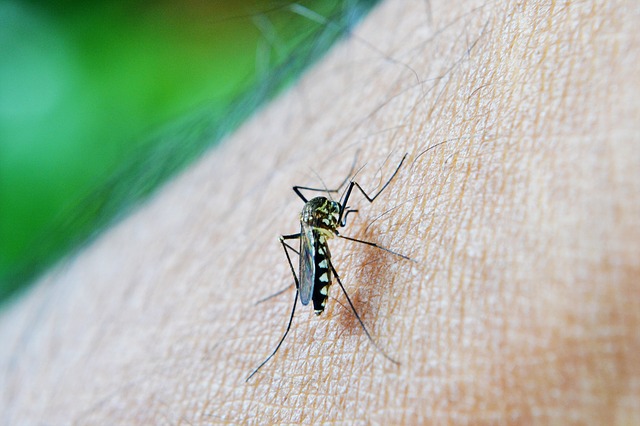 evitar la malaria