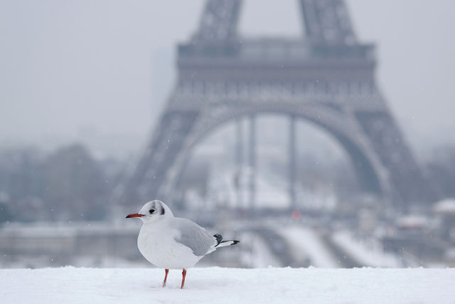 Viajar a París en navidad