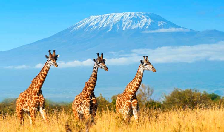 Parque nacional de Amboseli, Kenia